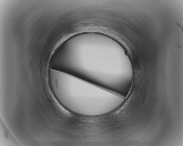 X0000098201525200804241027