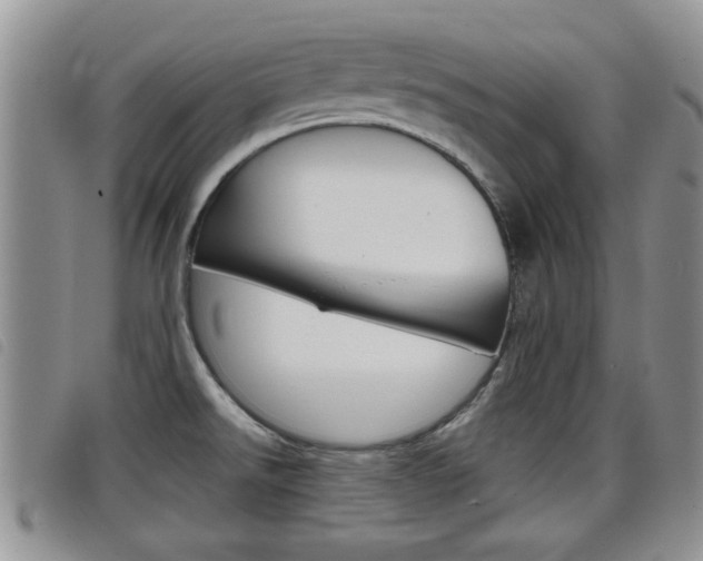 X0000098201526200804241027