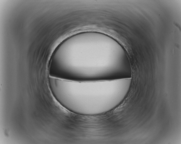 X0000098201527200804241027