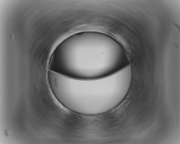 X0000098201528200804241027