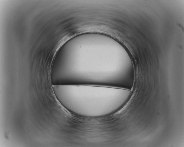 X0000098201529200804241027
