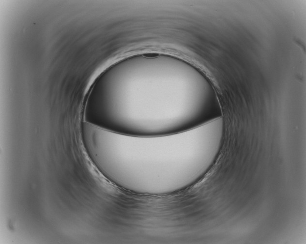 X0000098201530200804241027