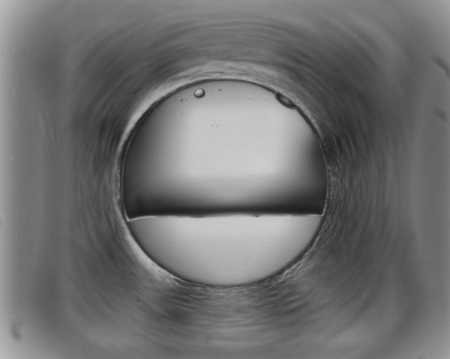 X0000098201531200804241027