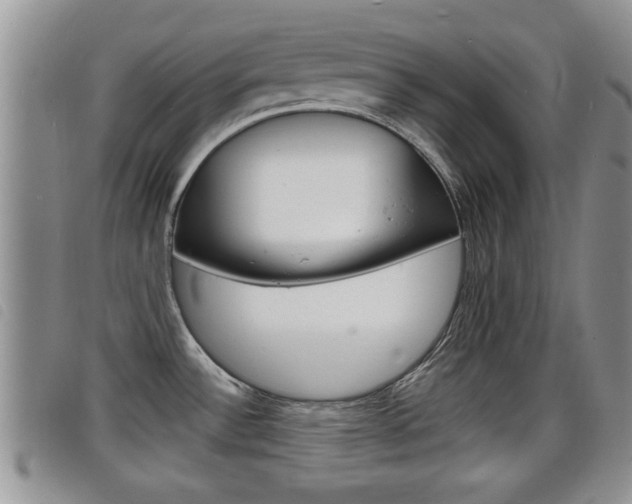 X0000098201532200804241027