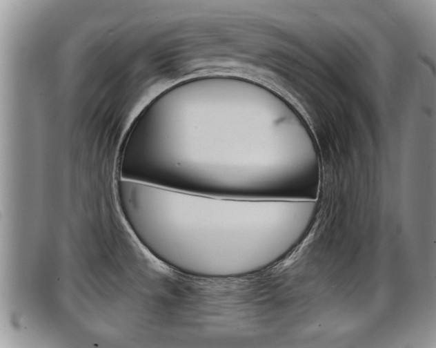 X0000098201533200804241027