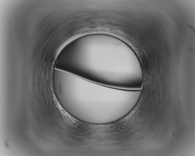 X0000098201534200804241027