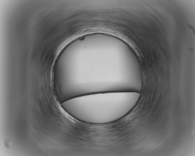 X0000098201535200804241027