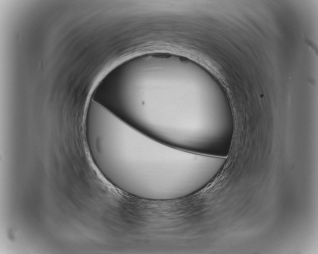 X0000098201536200804241027