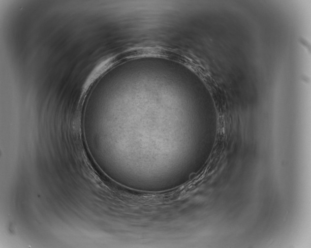 X0000098200004200804241304