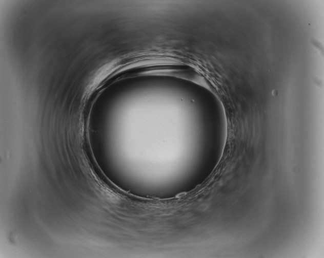 X0000098200005200804241304