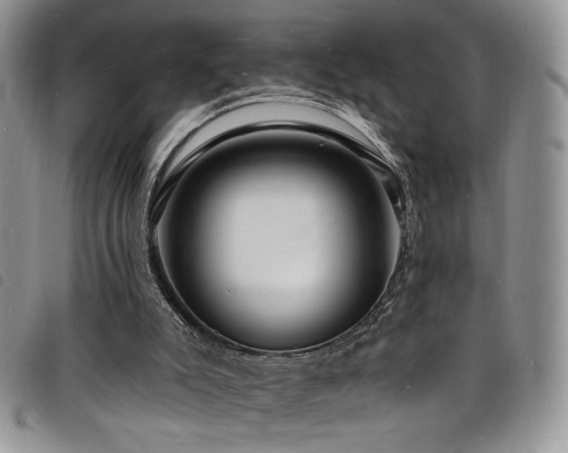 X0000098200007200804241304