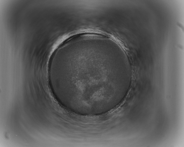 X0000098200008200804241304