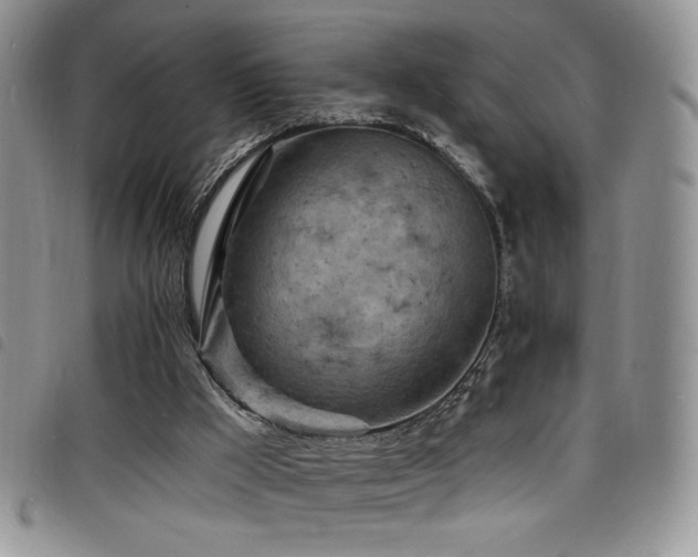 X0000098200009200804241304