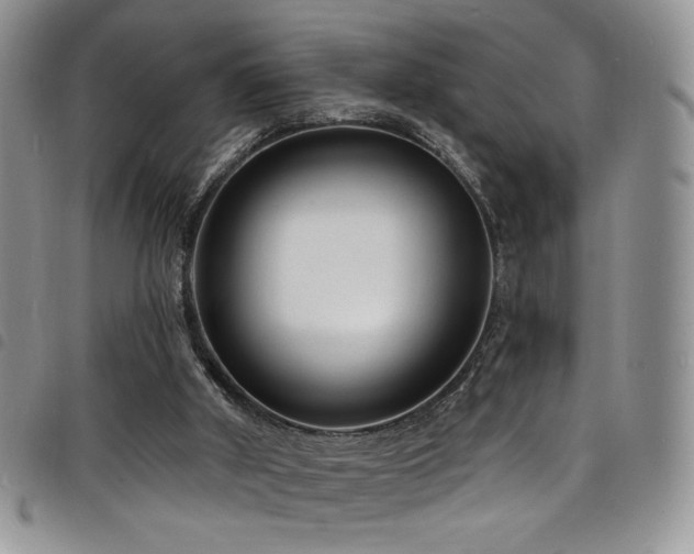 X0000098200010200804241304