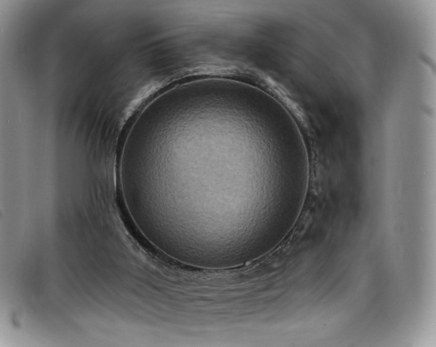 X0000098200011200804241304