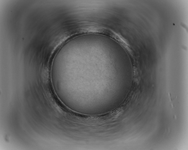 X0000098200012200804241304