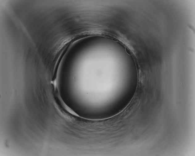 X0000098200013200804241304