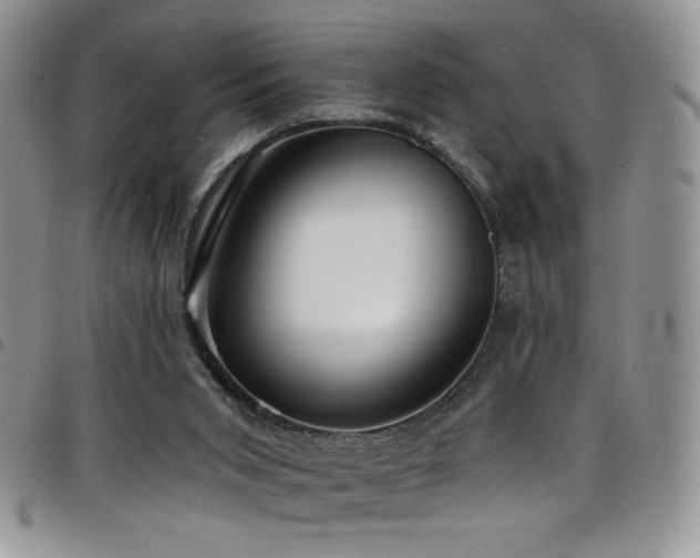 X0000098200015200804241304