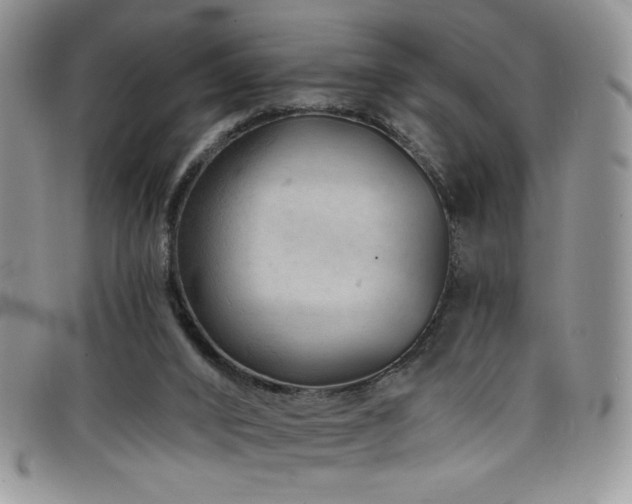 X0000098200016200804241304