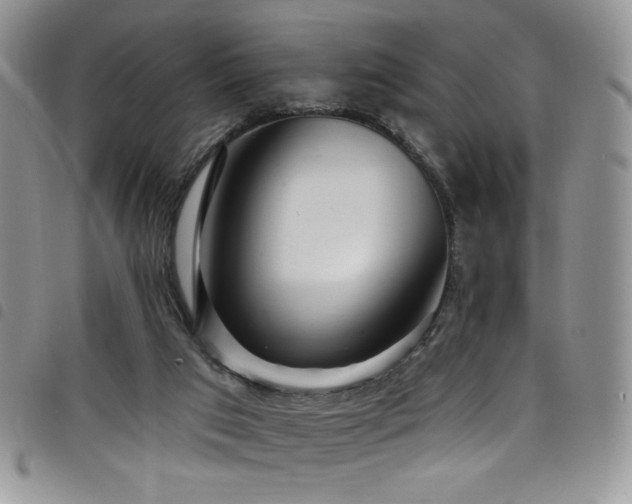X0000098200017200804241304