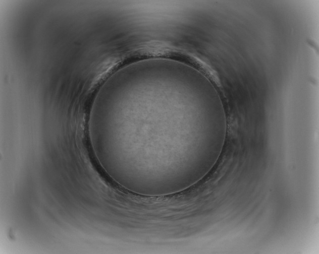 X0000098200018200804241304