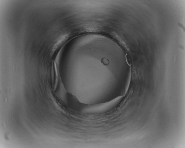 X0000098200019200804241304