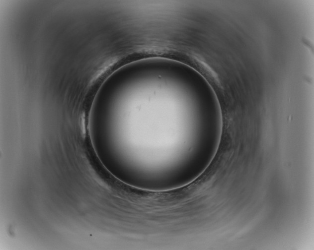 X0000098200020200804241304