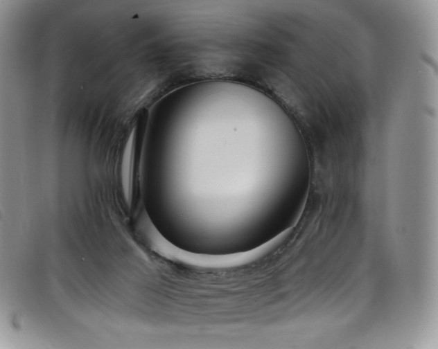 X0000098200021200804241304