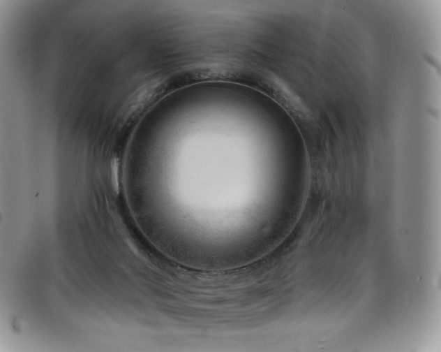 X0000098200022200804241304