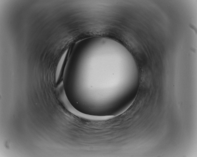 X0000098200025200804241304