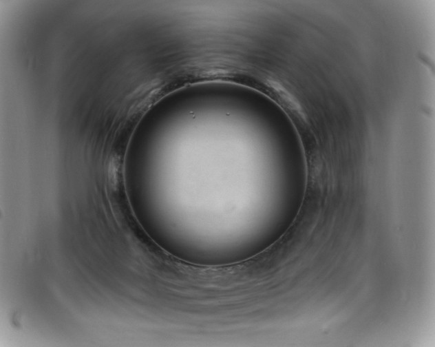 X0000098200026200804241304