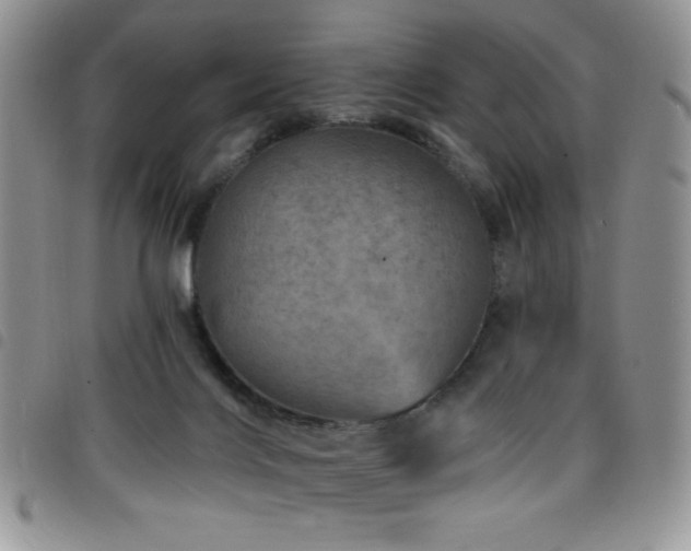 X0000098200028200804241303