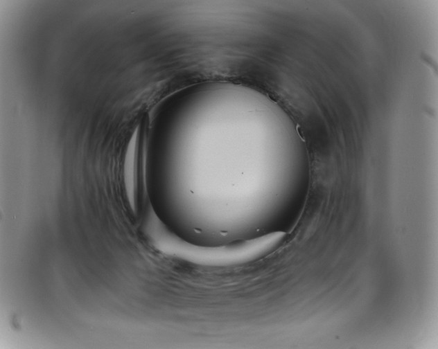 X0000098200029200804241303