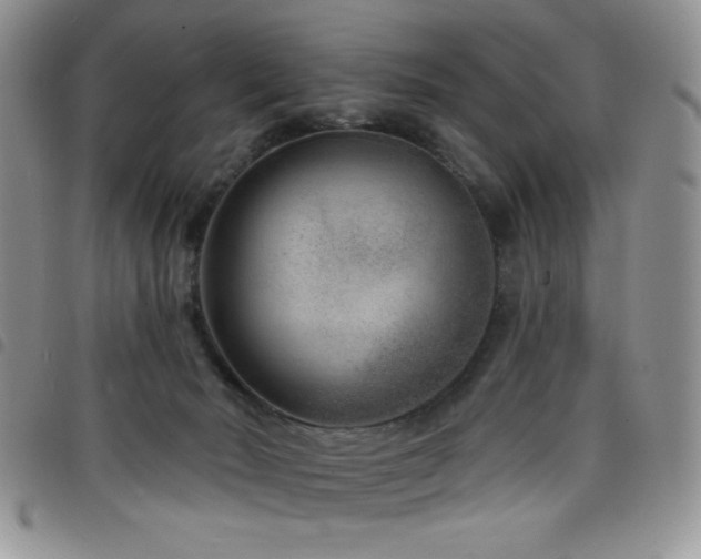 X0000098200030200804241303