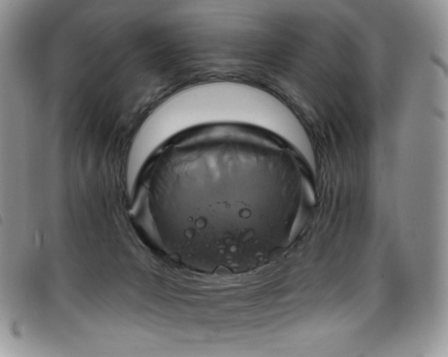 X0000098200031200804241303