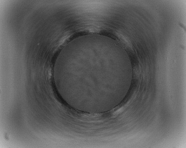X0000098200032200804241303