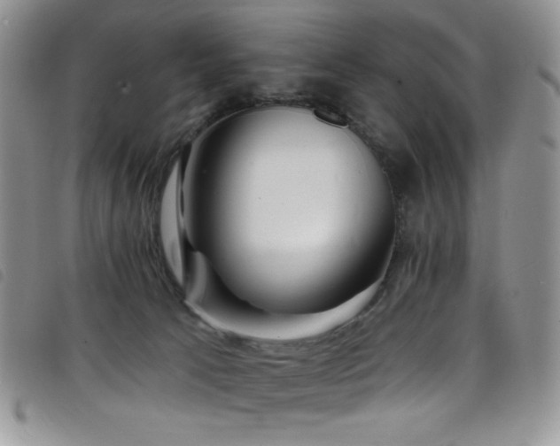 X0000098200033200804241303