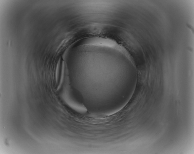 X0000098200035200804241303