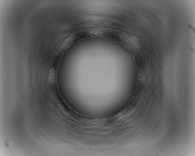 X0000098200036200804241303