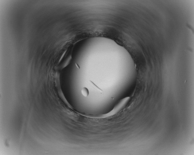 X0000098200037200804241303