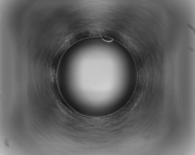 X0000098200038200804241303