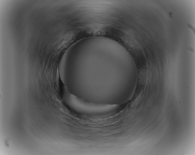 X0000098200039200804241303