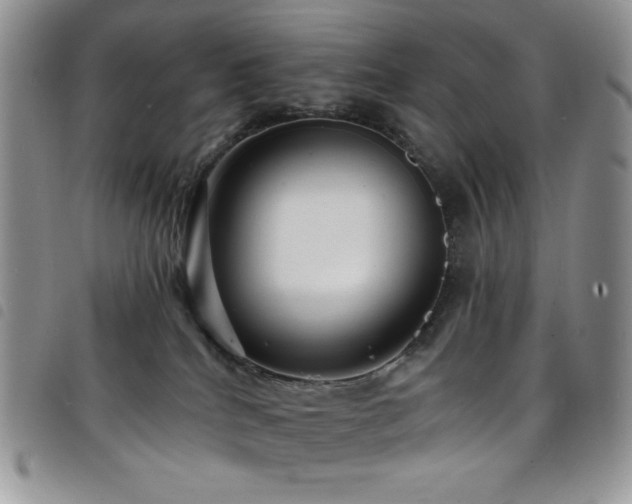X0000098200040200804241303