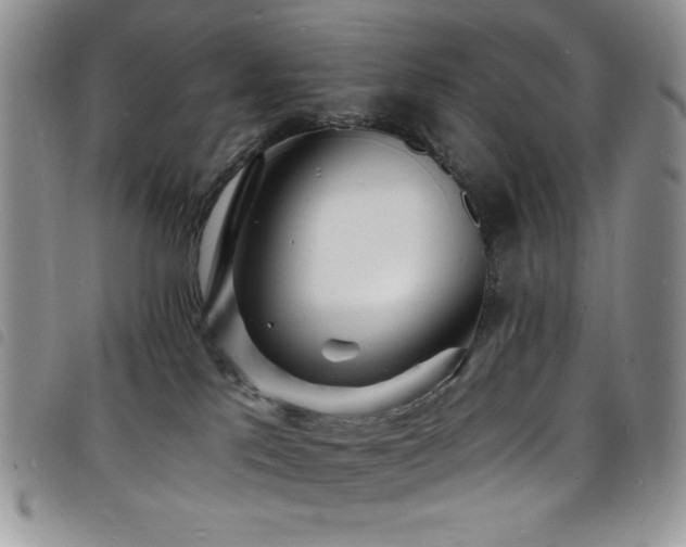 X0000098200041200804241303