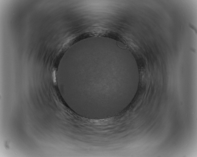 X0000098200042200804241303