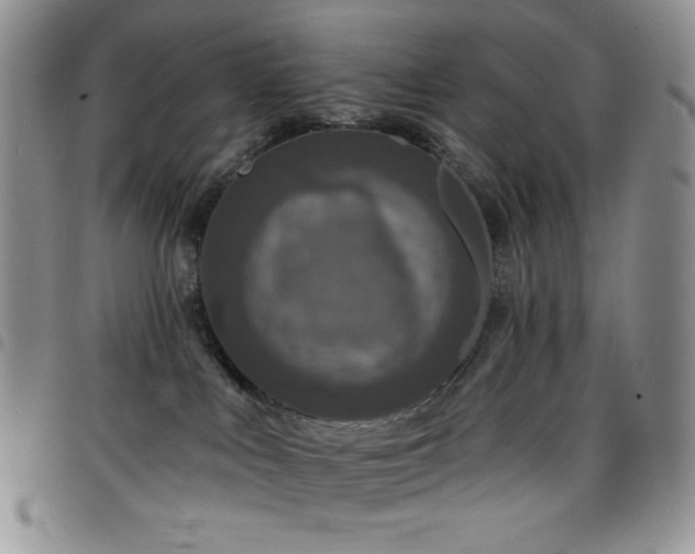 X0000098200043200804241303