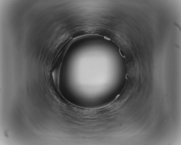 X0000098200044200804241303