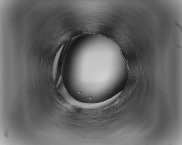 X0000098200045200804241303