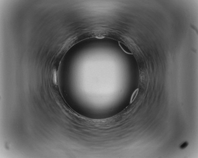 X0000098200046200804241303