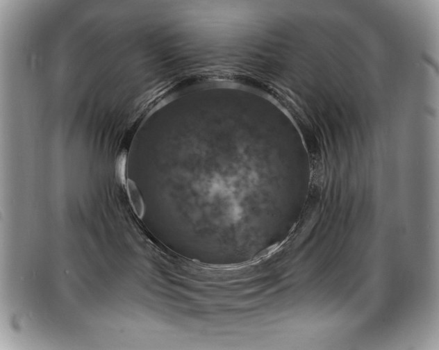 X0000098200047200804241303